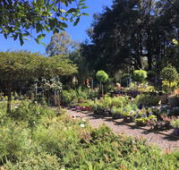 Yatte Yattah Nursery  Cafe - Sydney 4u
