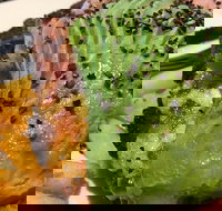 Lone Pine Tavern - Accommodation Sydney