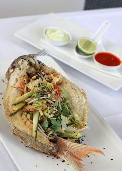Elephant Rock Cafe Bar & Restaurant - Sydney 4u 14