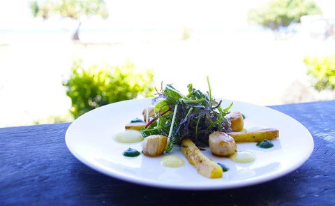 Elephant Rock Cafe Bar & Restaurant - Sydney 4u 23