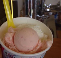 Bermagui Gelati Clinic - Accommodation Sydney