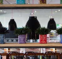 Collegians Balgownie - Accommodation Sydney