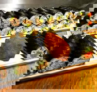 Freewave Sushi  Burgers - Sydney 4u