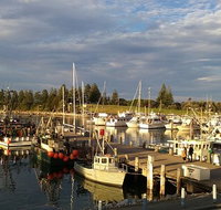 Horse  Camel - Accommodation Sydney