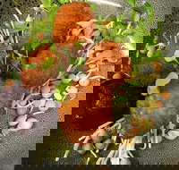 Ollie Masons Cafe - Accommodation Sydney