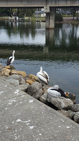 Saltwater Seafoods - Accommodation Sydney 0