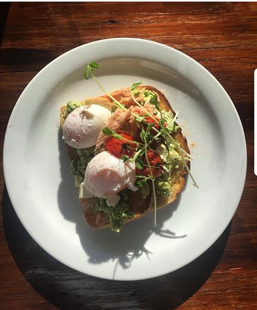 The Coffee Pedaler - Accommodation Sydney 0