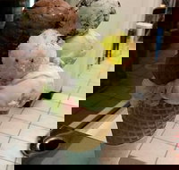 The Natural Waffle Ice Cream Parlour - Accommodation Sydney