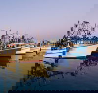 Clarence River Fishermen's Co-Operative - Sydney 4u