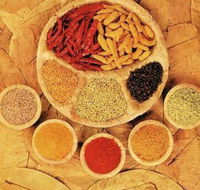 Tehzeeb Indian and Australian Restaurant - Sydney 4u