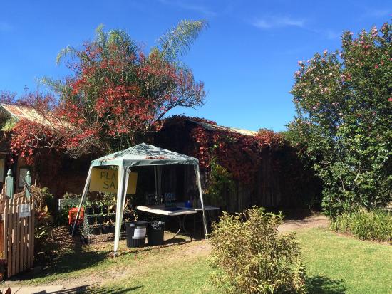 Bilpin NSW Accommodation Sydney