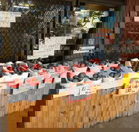 The Pines Orchard - Accommodation Sydney