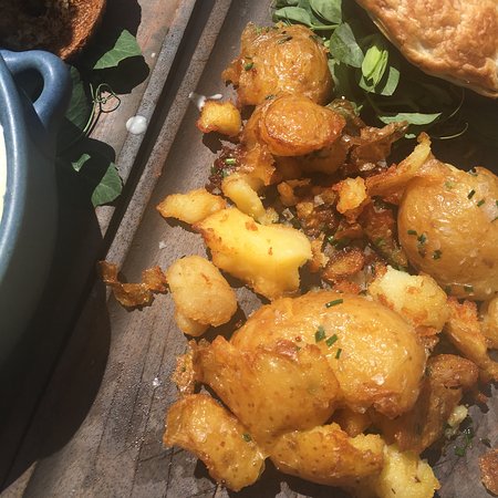 Mount Tomah NSW Accommodation Sydney