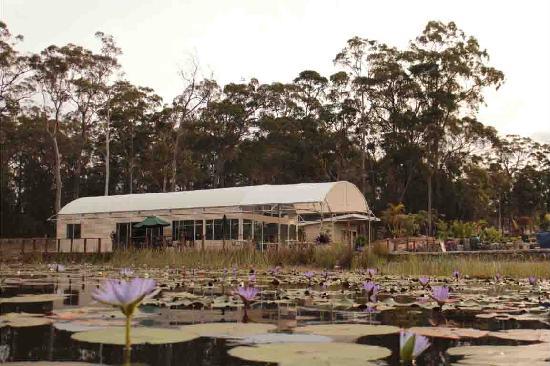 Sancrox NSW Sydney 4u