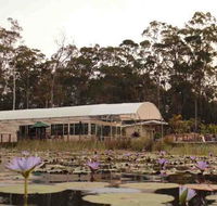 Abundance Cafe and Garden Centre - Sydney 4u