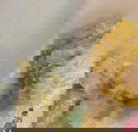 Champs Bistro - Accommodation Sydney