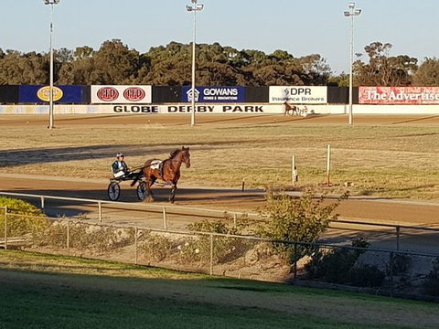 Paceway - Accommodation Sydney 0