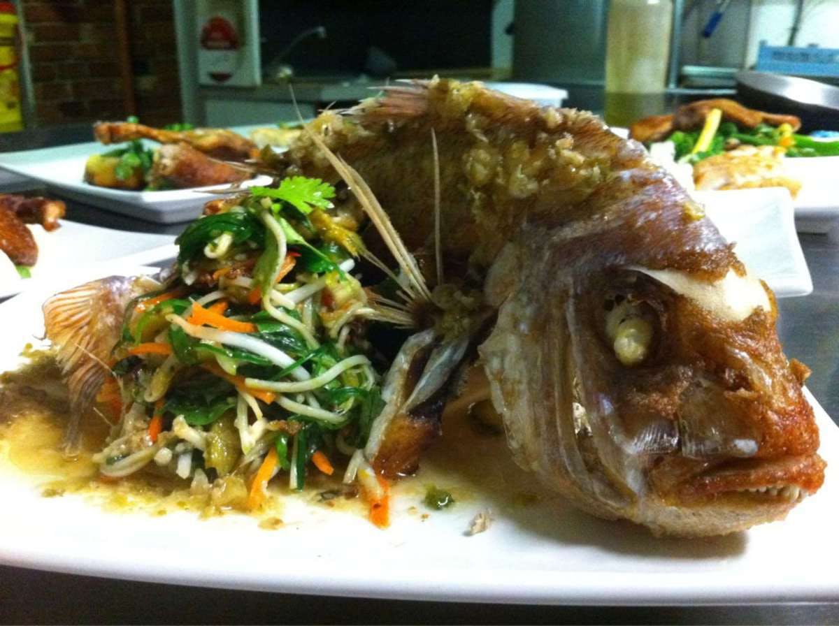 Carrajung Lower VIC Accommodation Sydney