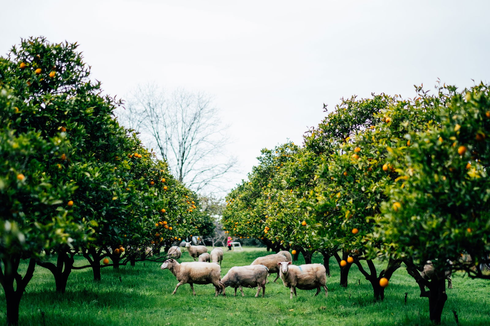  Accommodation Sydney