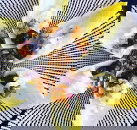 Crust - Conder - Accommodation Sydney