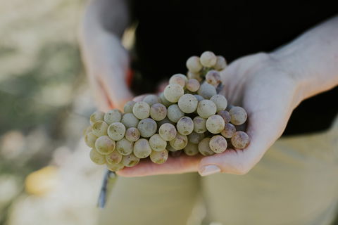 Rowlee Vine To Table Experience - Sydney 4u 1