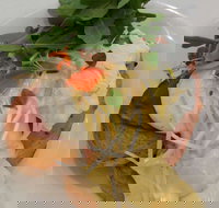 Vida Espresso - Accommodation Sydney