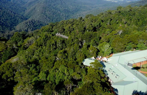 Canopy Cafe - Sydney 4u 0
