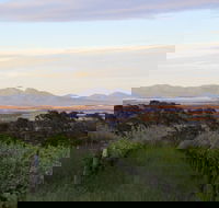 Castle Rock Estate Winery - Sydney 4u