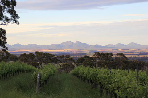 Castle Rock Estate Winery - Sydney 4u 0