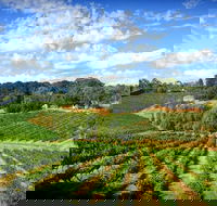 Kellybrook Winery and Kelly Brothers Cider - Sydney 4u
