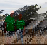 Milawa Organic Beef - Accommodation Sydney