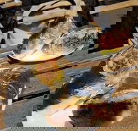 Perso - Sydney 4u