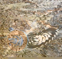 Salt. Coffee Roasters - Accommodation Sydney