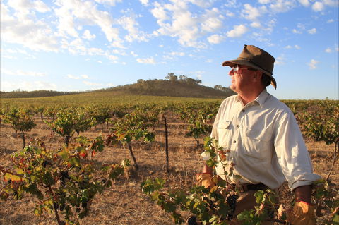Sally's Paddock At Redbank Winery - Accommodation Sydney 2