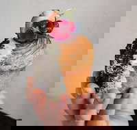 Son of a Baker - Botany - Accommodation Sydney