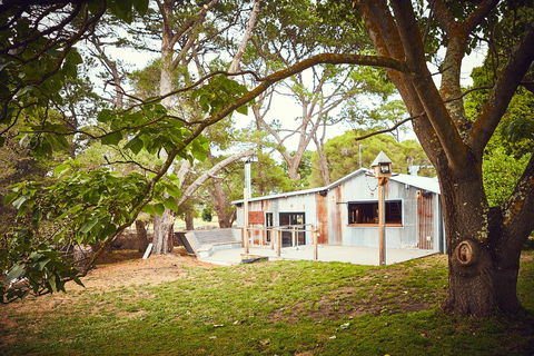 The Whiskery - Sydney 4u 0