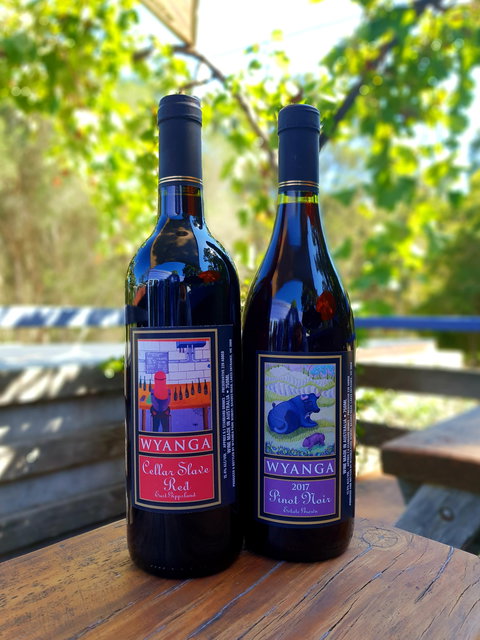 Wyanga Park Winery - Accommodation Sydney 1