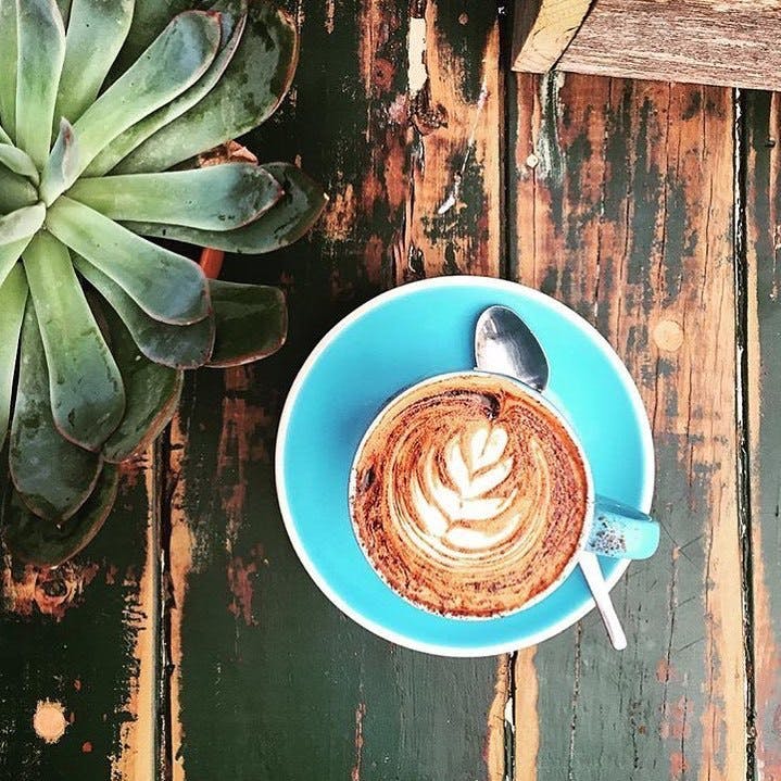 Eveleigh NSW Accommodation Sydney