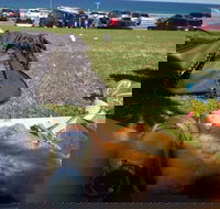 Fish House - Accommodation Sydney