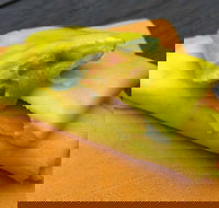 House Of Canton - Accommodation Sydney