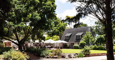 Scotchmans Hill - Sydney 4u 0