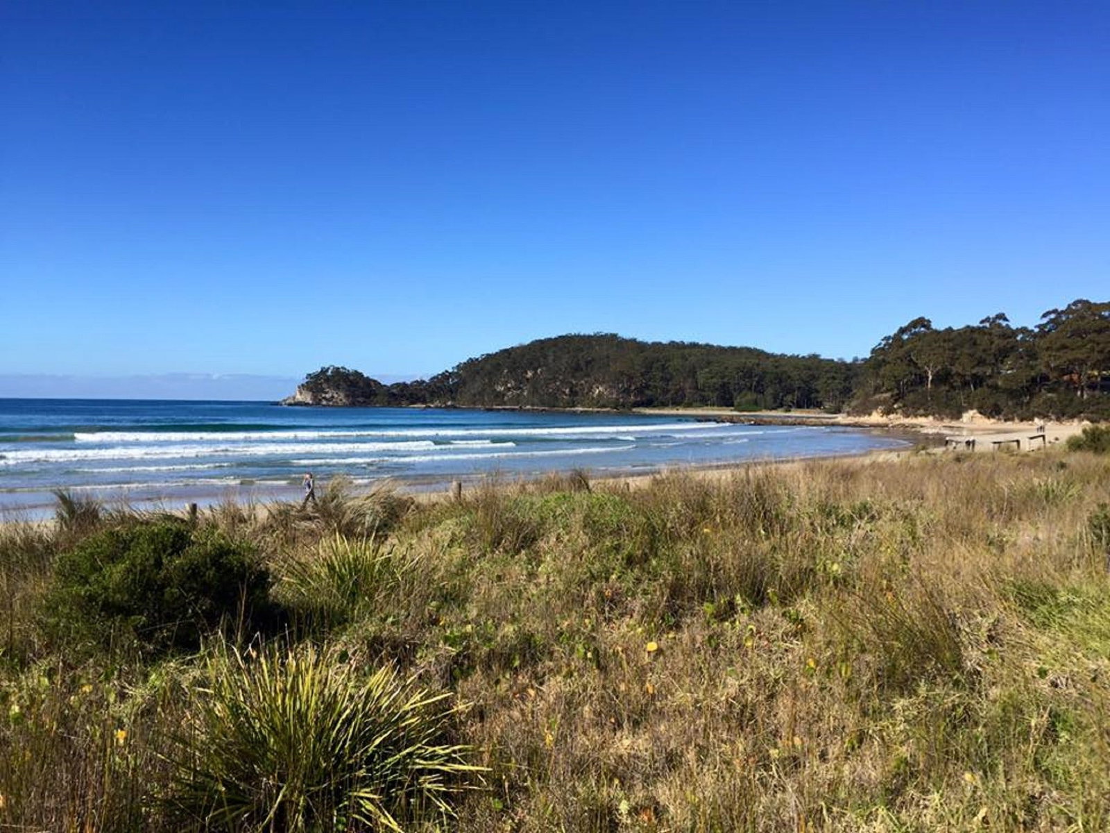 Surf Beach NSW Accommodation Sydney