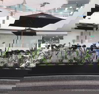 D Cafe - Sydney 4u