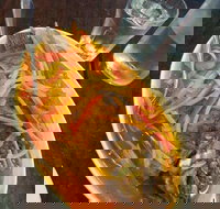 Mix and match - Accommodation Sydney