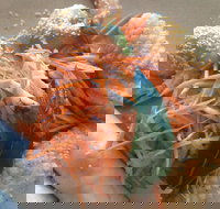 On Shore - Accommodation Sydney