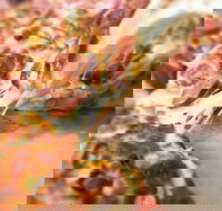 Pizza Rustica - Accommodation Sydney