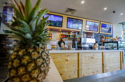 Raw Energy Springfield - Accommodation Sydney 1