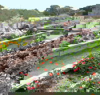 The Farmer's Place - Sydney 4u