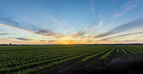 Atze's Corner Wines - Accommodation Sydney 2