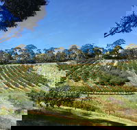 Cherrytime Orchard - Sydney 4u